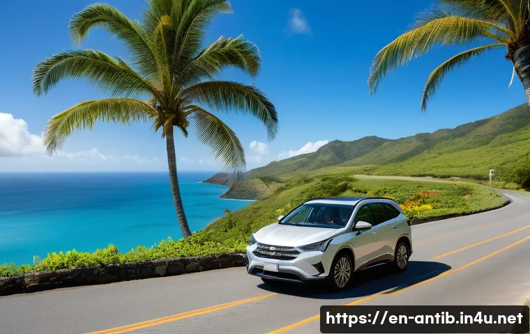 앤티가 바부다 크루즈 여행 팁 관련 이미지 2