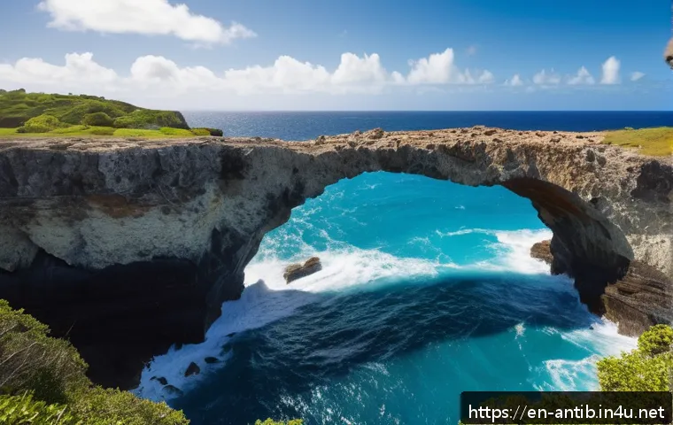 앤티가 바부다 데블스 브릿지 - A dramatic daytime coastal scene featuring the natural limestone arch known as Devils Bridge on Anti...
