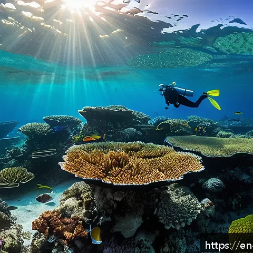 앤티가 바부다 해양 보호구역 - A vibrant underwater scene showcasing a thriving coral reef ecosystem in Antigua and Barbuda’s marin...