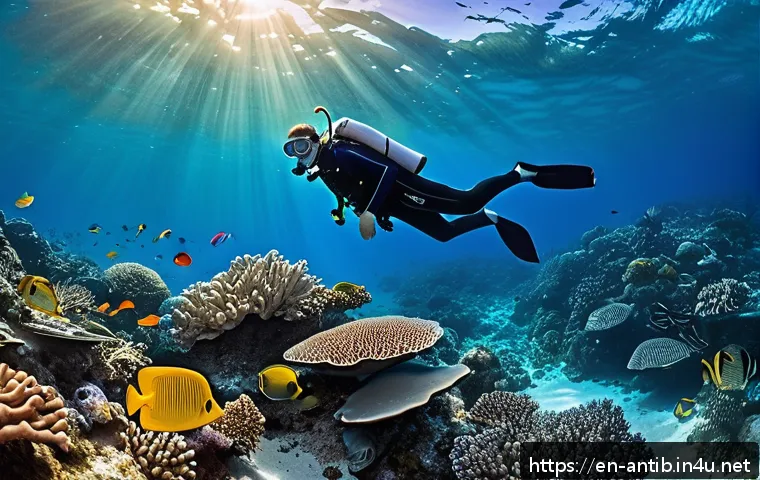 앤티가 바부다 하프문 베이 관련 이미지 1